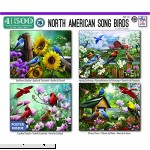 North American Song Birds 4-in-1 Puzzle Pack  B07B4MVLP4